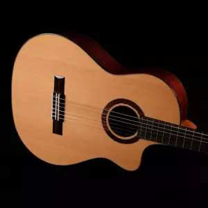 قیمت گیتار ریموندو 630e